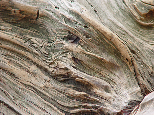 wood texture photoshop